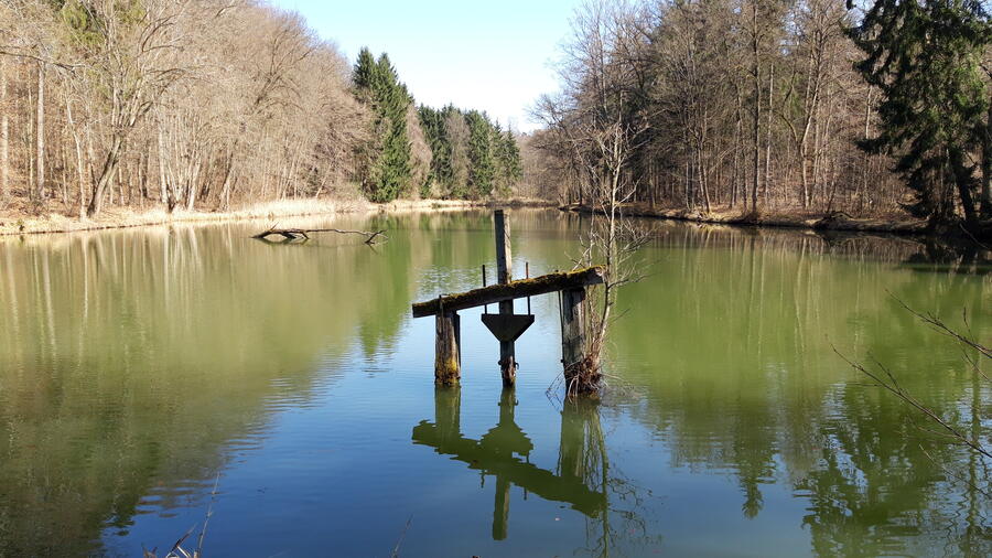 Ein Teich im Wald. In der Mitte des Teiches ist ein historisches  Objekt.