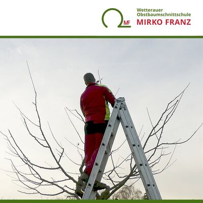obstbaumschnittkurs-jungbaumschnitt-wetterauer-obstbaumschnittschule-mirko-franz-1-720x720