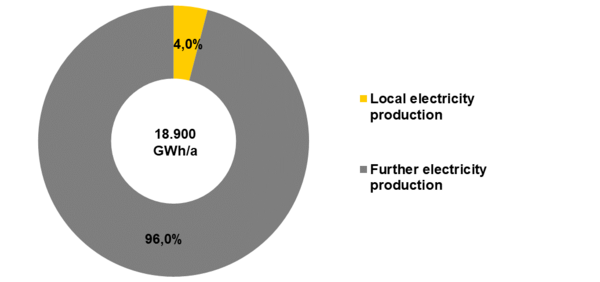 Share of renewable local electricity generation in electricity consumption