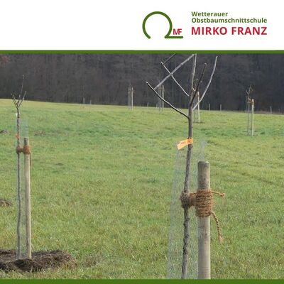 kurs-fachgerechte-pflanzung-obstbaum-wetterauer-obstbaumschnittschule-mirko-franz-720x720