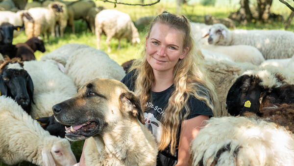 Eine junge Frau sitzt zwishcen Schafen und hält einen Hund.
