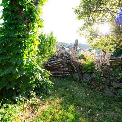 Gestapeltes Holz an der Gartenmauer