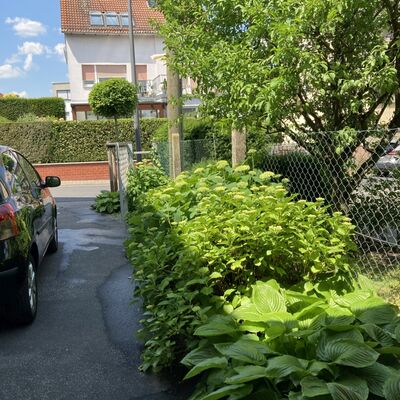 Garteneinfahrt mit bepflanztem Seitenstreifen