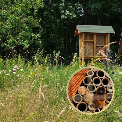 Kelkheim Wildbienenhaus auf Blühwiese