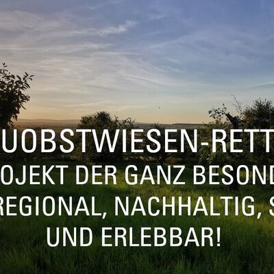 Streuobstwiesen-Rettung &Uuml;bersicht