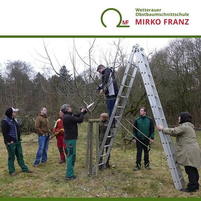 obstbaumschnitt-vertiefungskurs-schnittpraxis-wetterauer-obstbaumschnittschule-mirko-franz-720x720
