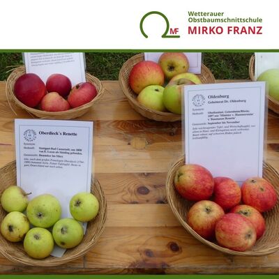 kurs-obstsortenvielfalt-streuobstwiese-obstverwertung-wetterauer-obstbaumschnittschule-mirko-franz-720x720