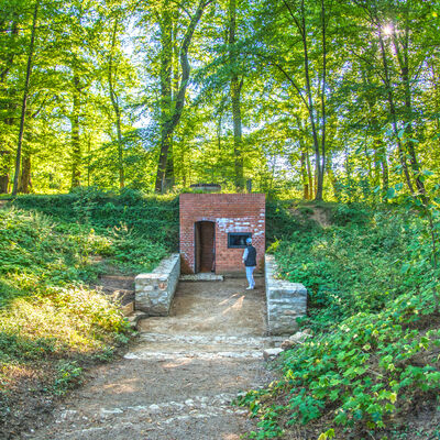 In einem lichten Wald ist ein gemauerter Kellereingang vor einem H&uuml;gel. Ein Weg f&uuml;hrt zum Eingang. Eine Person steht vor dem Geb&auml;ude.