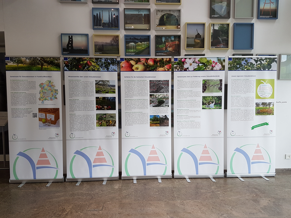 Photo of the strewn fruit exhibition
