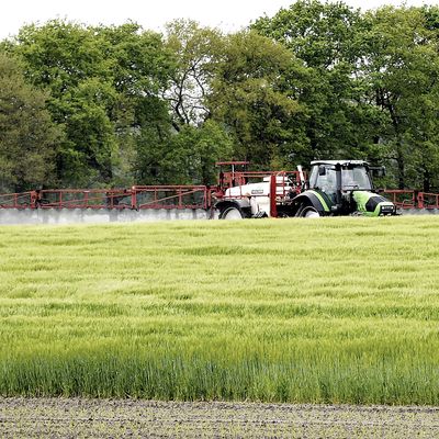 Traktor versprueht Spritzmittel über einem Feld