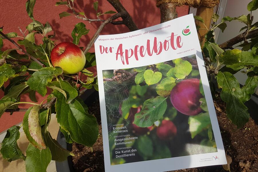 Das Magazin "Der Apfelbote"  liegt am Apfelbaum