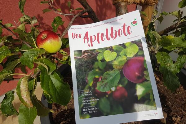 Das Magazin "Der Apfelbote"  liegt am Apfelbaum