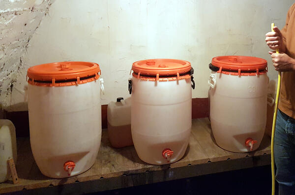 Vier Kelterfässer in einem Kellerraum.