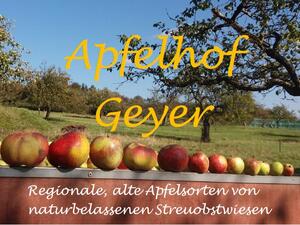 Äpfel sind auf einer Holzmauer aufgereiht. Im Hintergrund ist eine Streuobstwiese und der gelbe Schriftzug vom Apfelhof Geyer zu sehen. Unterhalb der Apfelreihe steht der Schriftszug Regionale, alte Apfelsorten von naturbelassenen Streuobstwiesen.